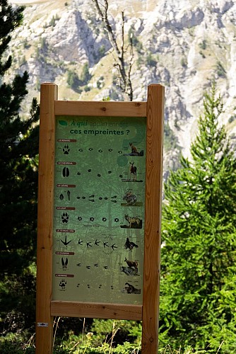 Il sentiero didattico della Taure nella riserva biologica del Bois des Ayes