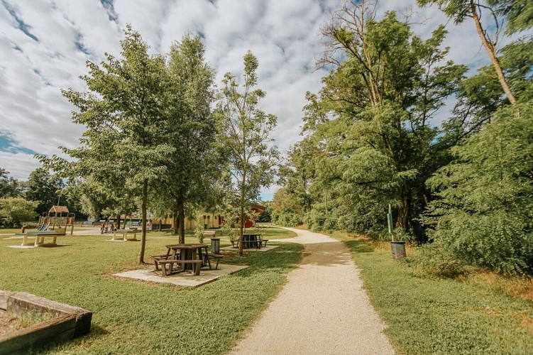 Rundwanderweg : les bords de l'Aire