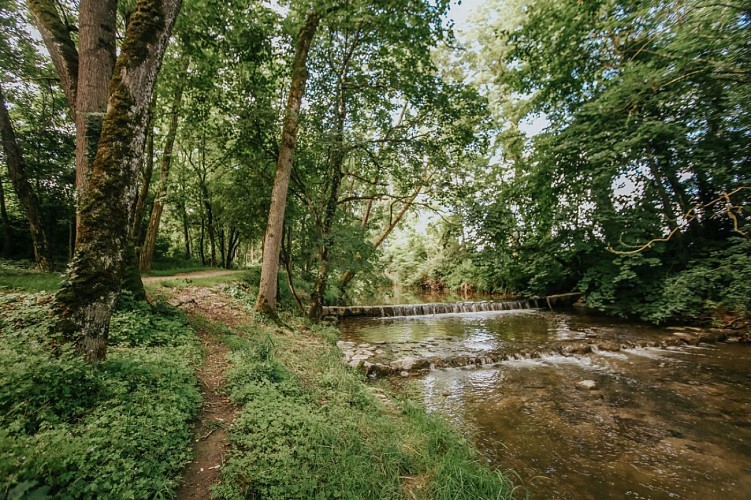 Rundwanderweg : les bords de l'Aire