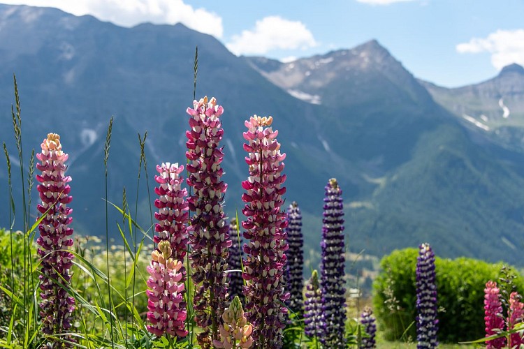 Découverte des hameaux d'Orcières