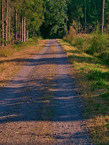 Chemin de grande randonnée