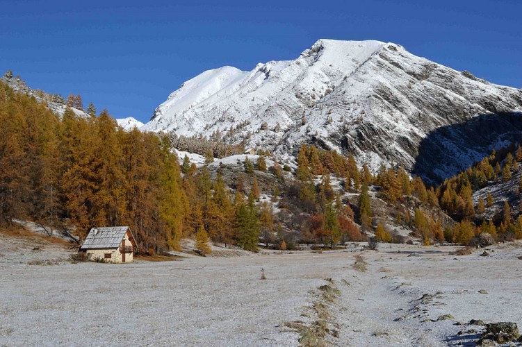 Plateau des chasts cabane Marie-Louise