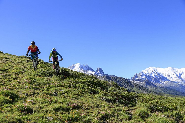 Mountainbike-Abfahrt: Abfahrt Les Marmottes - Charamillon - Le Tour