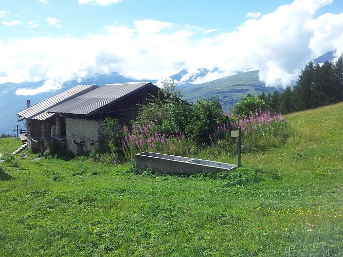 Arc 1800 towards Peisey-Vallandry via Chemin de Barmont