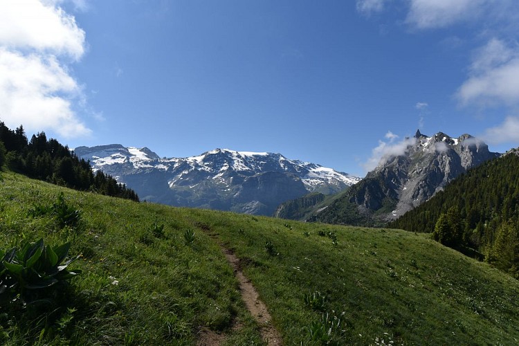 Hameau de la Montagne - Rocher de Villeneuve - Crête du Mont Charvet - paseo circular