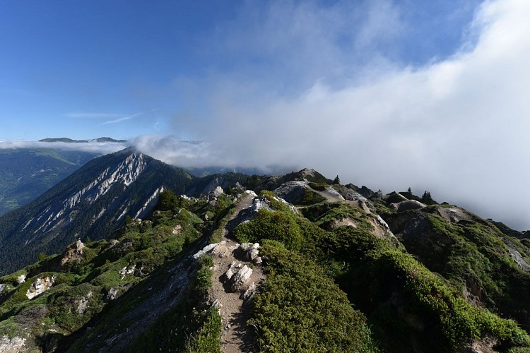 Crête du Mont Charvet