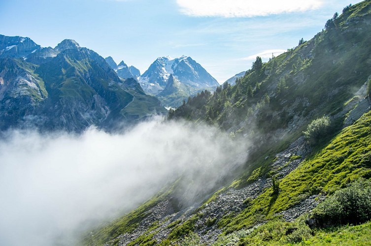 Paseo en bucle - Col de Napremont