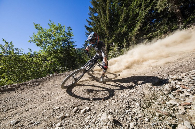 DH9 - VTT - Woodstock