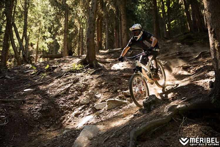 DH10 - VTT - Go Pro G Force