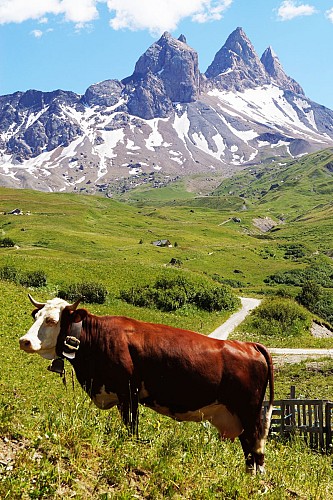 Am Fuße der Aiguilles d'Arves über die Basse du Gerbier