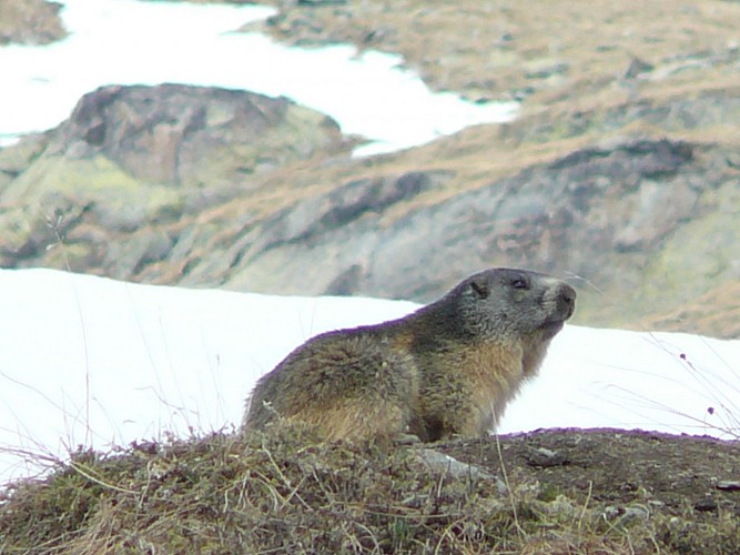 Au pied des Aiguilles d'Arves par la Basse du Gerbier