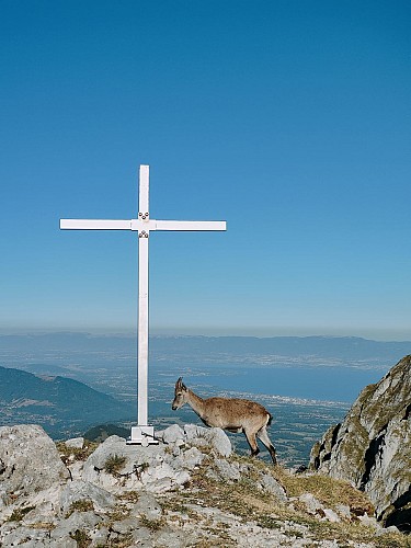 Château d'Oche van de Fétiuère