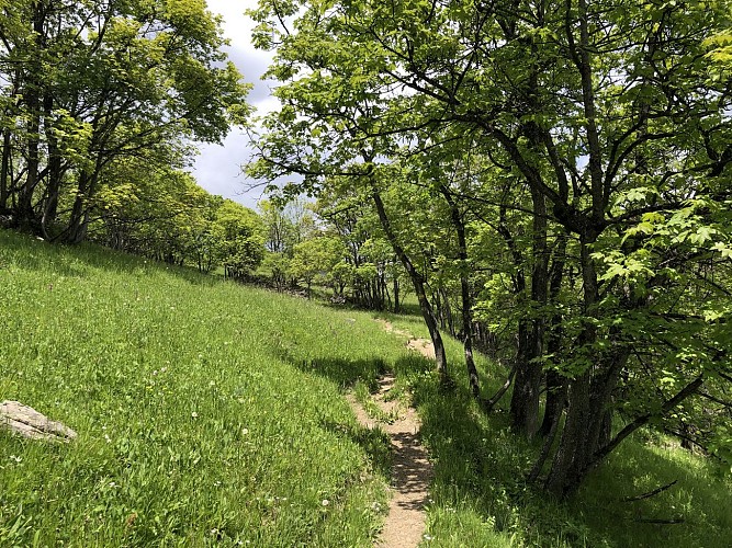 Balcon des Balais - Percorso a piedi