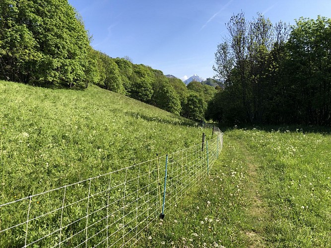 Balcon des Balais - Percorso a piedi
