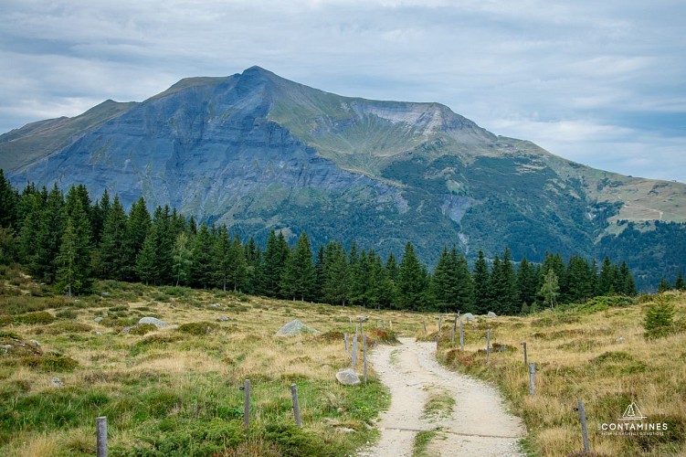Le chemin des chalets du Truc