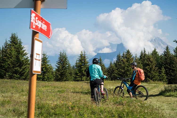 La Sapinière (22) - Piste de descente VTT