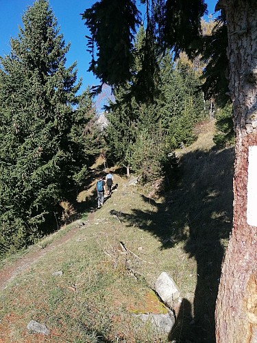 Wanderweg: Sentier des biefs (Pfad der Bäche)