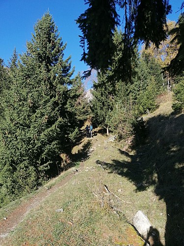 Wandelpad: Sentier des biefs (baaien pad)