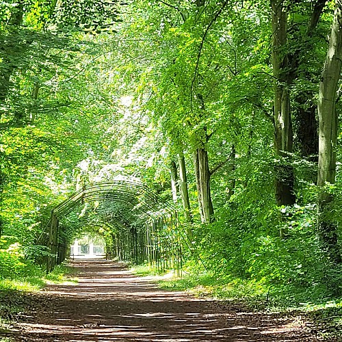 Le Berceau de l'Impératrice