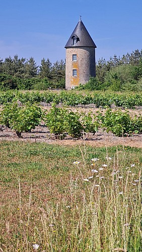 Sentier des Moulins (Variante) - Rochetrejoux