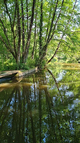 Sentier des Moulins (Variante) - Rochetrejoux