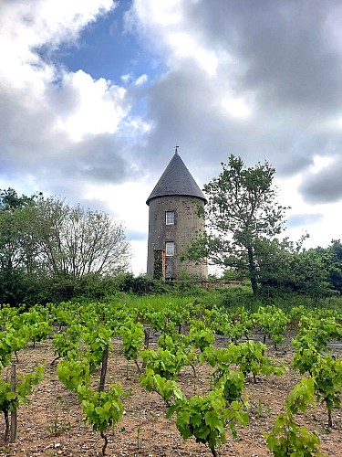 Sentier des Moulins (Variante) - Rochetrejoux