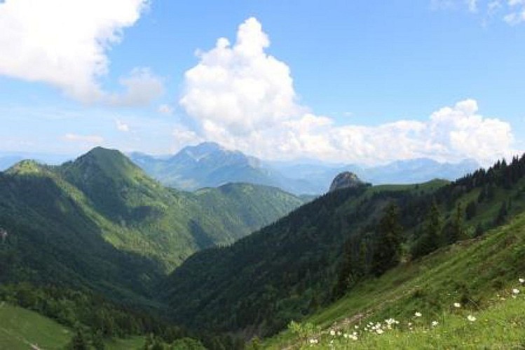 73 - Chalets d'Orgeval