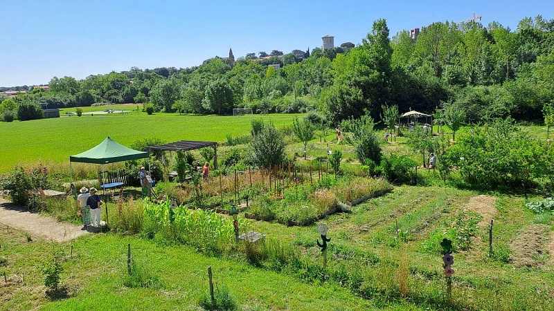 CHEMIN DE LA BIODIVERSITE