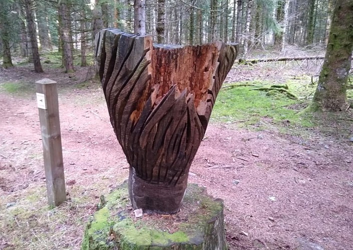 Arboretum de Pierrefort, un sentier découverte_Pierrefort