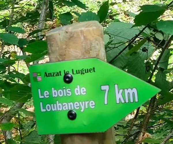 Bois de Loubaneyre