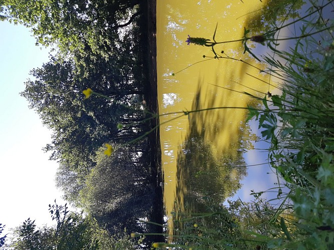 La mare aux canes, Les Bois de Melle