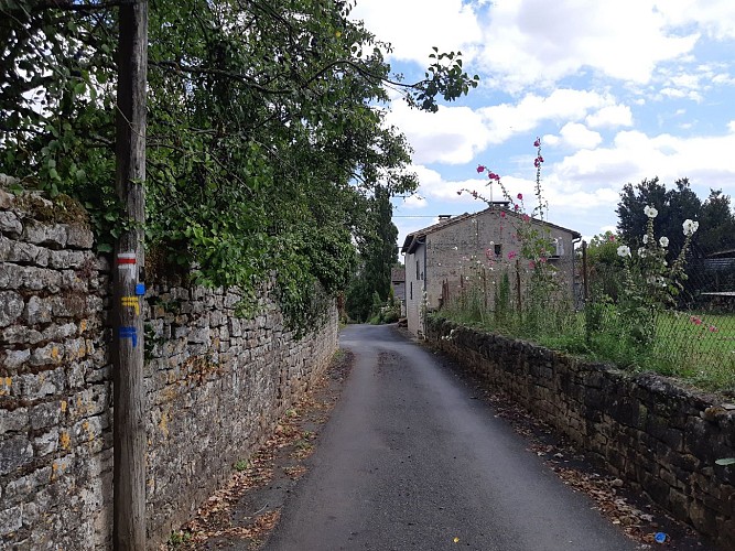 Ruelle et roses trémières à Saint-Leger de la Martinière