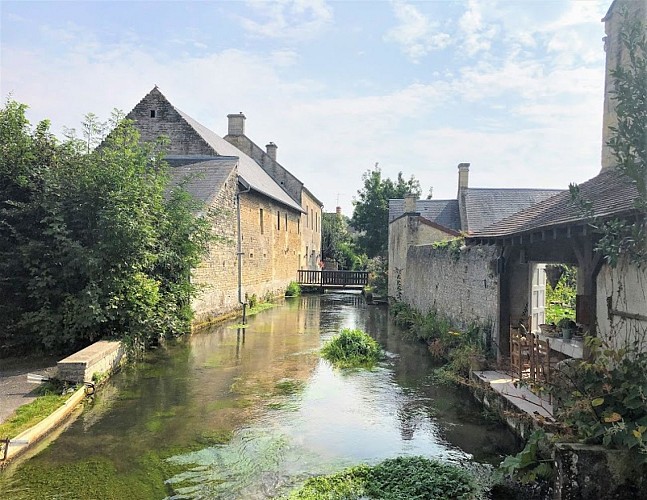 REVIERS-LA-MUE-CREDIT-MATHILDE-LELANDAIS