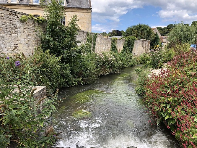 REVIERS-RIVIERE-FLEURS-CREDIT-MATHILDE-LELANDAIS