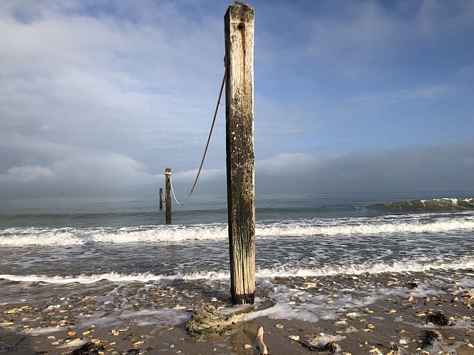 poteaux-bains-la-a-corde-plage-saint-aubin-sur-mer-credit-mathilde-lelandais--3--2