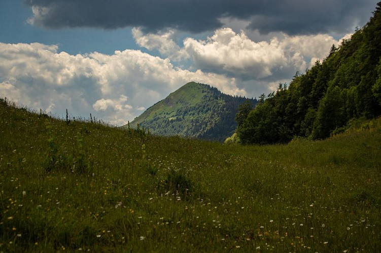 Wandern - Crêt de Chalam von Forens aus_Chézery-Forens