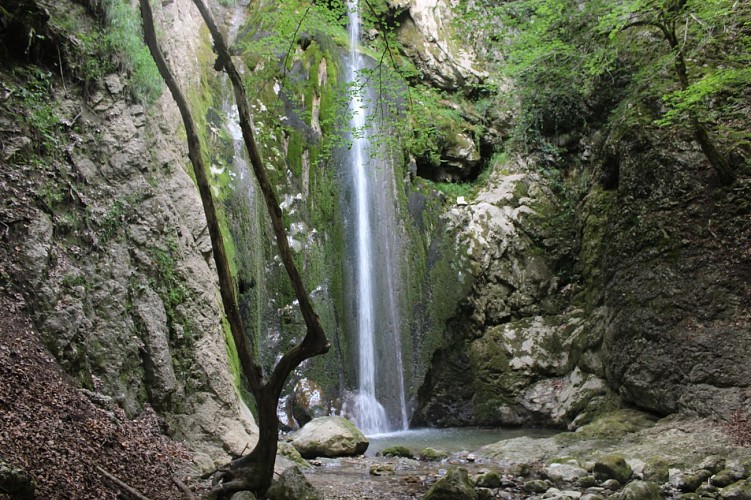 Wandern - Crêt de Chalam von Forens aus