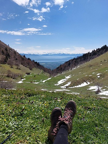 Wanderung: Echenevex - Branveau - Montchanais