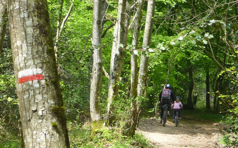 En forêt balisage web