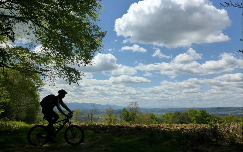 Au fond la Plaine de Nay depuis Chemin Henri IV 