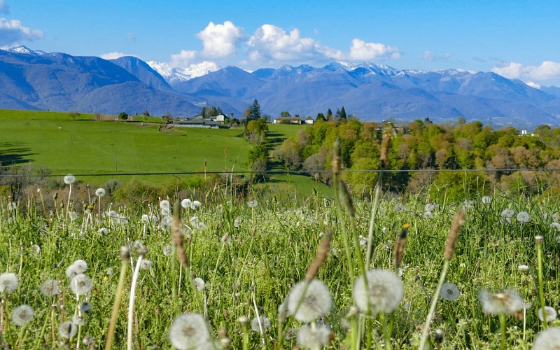 Vue sur saint vincent