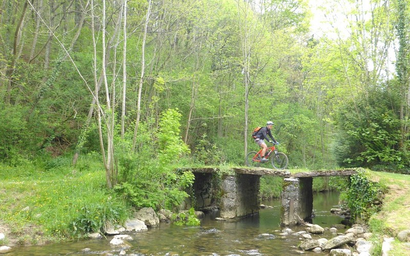 Pont de labasses web