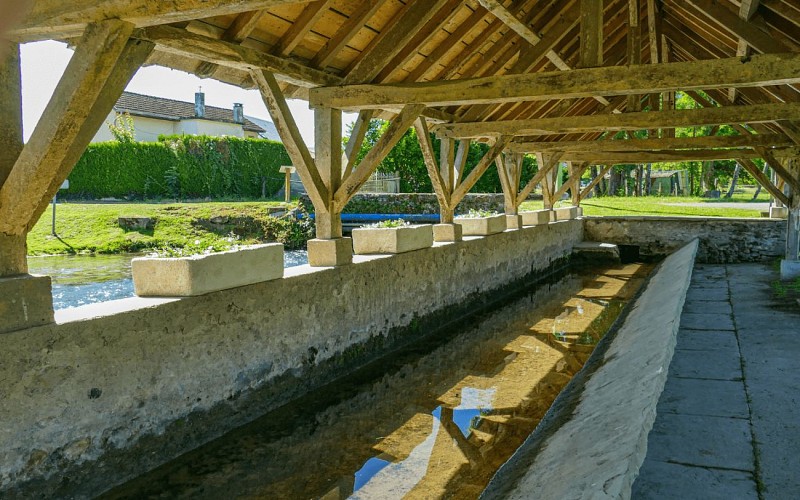 Lavoir d'Igon web