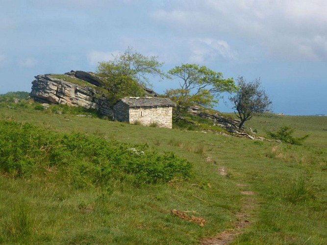 Plateau au pied de la Rhune