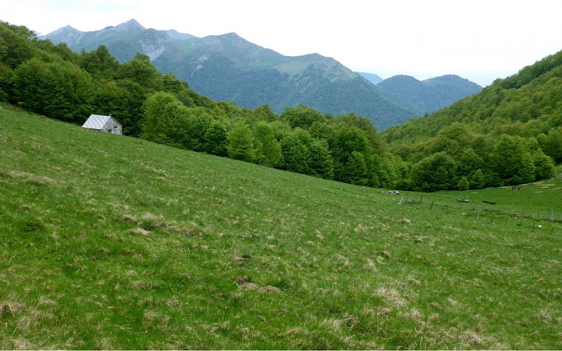 cabane Monbula web