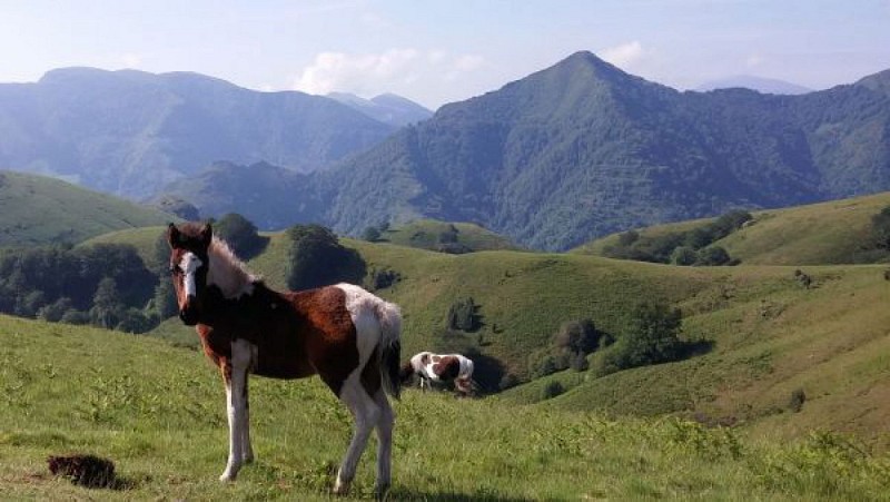 GR10 - J4 - Col des veaux - Bidarray