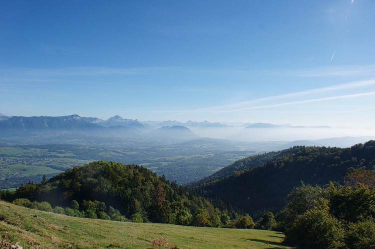 Wandelroute: ontdek het Plateau des Bornes