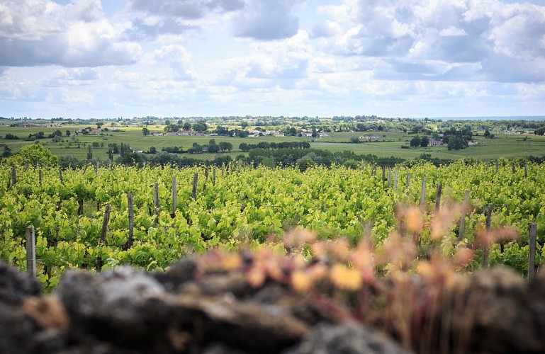 Capture d’écran 2016-06-20 à 14.24.37