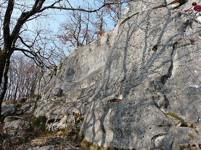 Paussac_dolmen_Peyrelevade_(4)