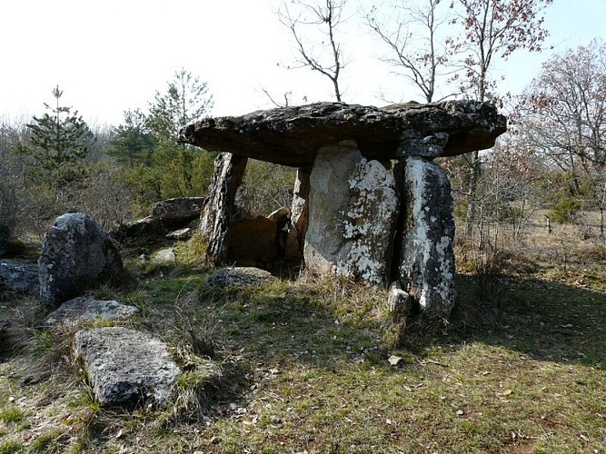 Paussac_dolmen_Peyrelevade_(4)